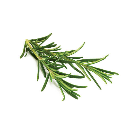Romero