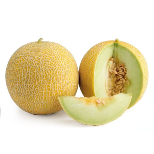 Melón