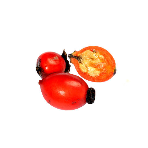 Escaramujo