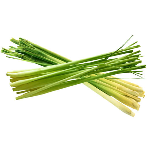 Hierba limón
