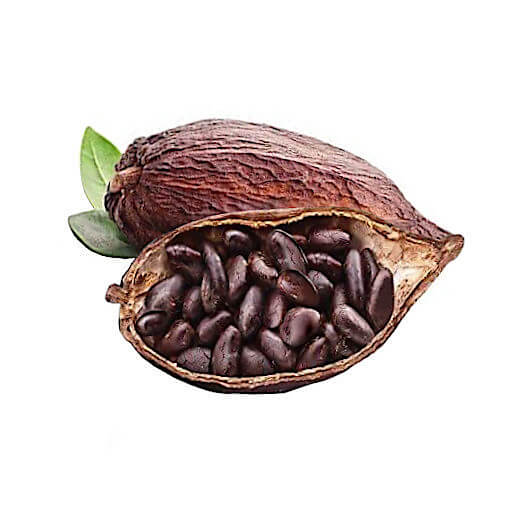 Cacao
