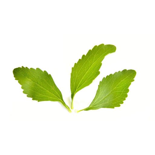 Estevia