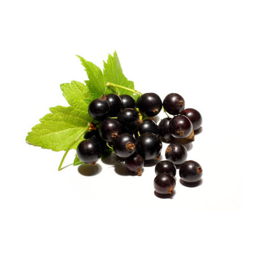 Grosella negra