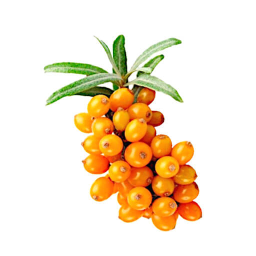 Espino amarillo