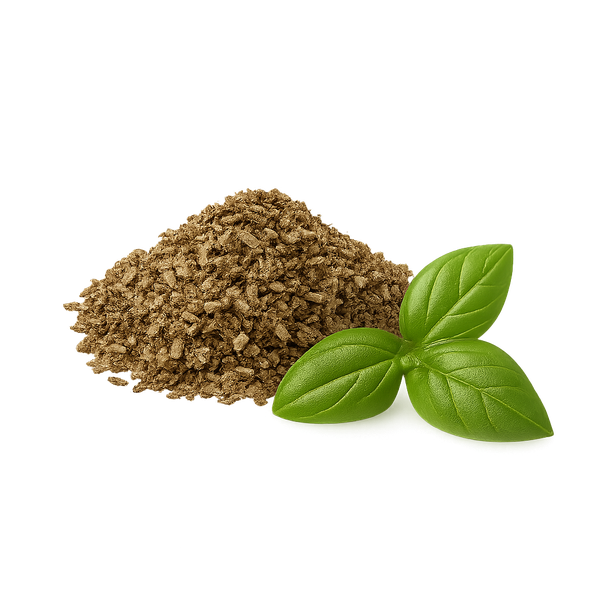 Albahaca