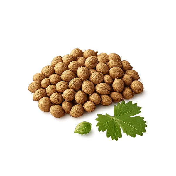 Coriandro
