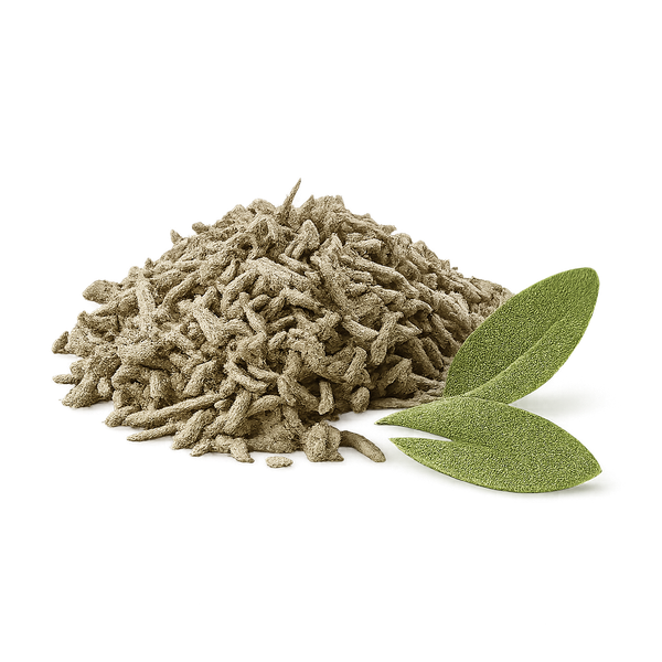 Salvia
