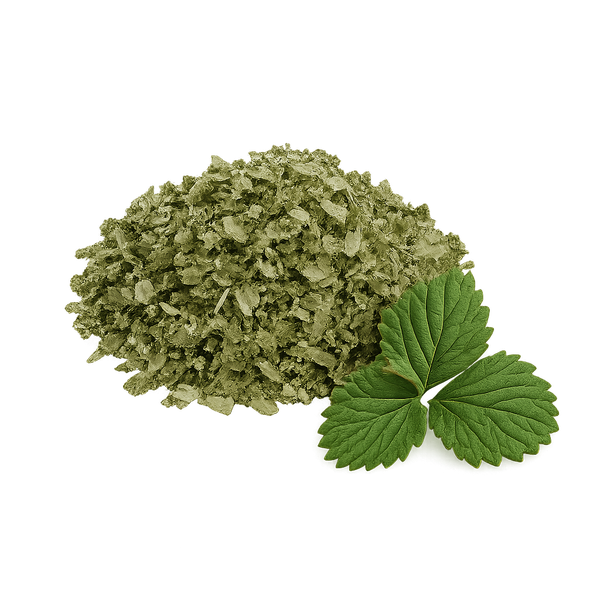 Hojas de fresa