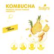 Premezcla de Kombucha y Piña