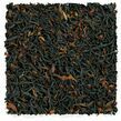 Wild Ancient Tree Black