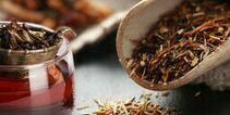 Té rooibos