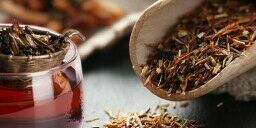 Té rooibos