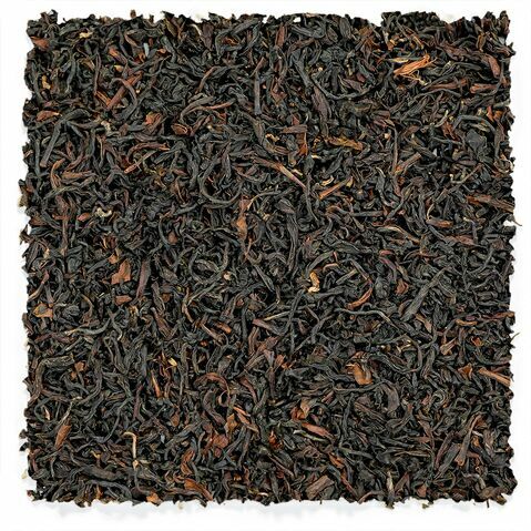 Ringtong Spring Darjeeling