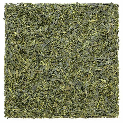 feuille de thé vert