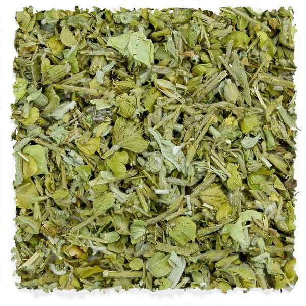 Té griego de montaña