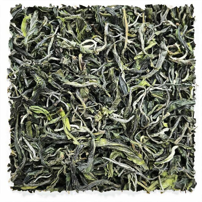 Invierno 1er Flush Yunnan Verde