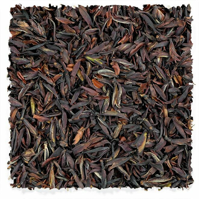 Primera cosecha de cogollos rojos silvestres