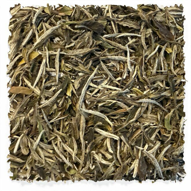 Peonía blanca Tieguanyin Baicha