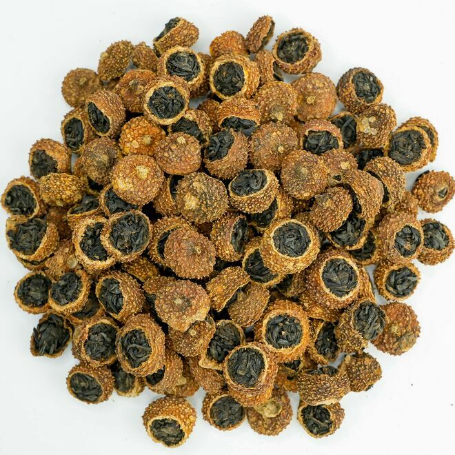 Rosa Roxburghii Negra