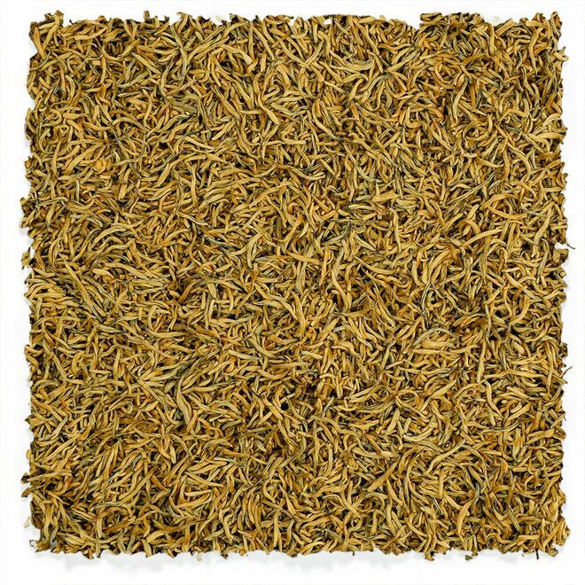 Vietnam Golden Monkey