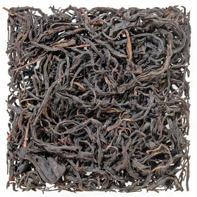 Assam "Black Beauty" #8