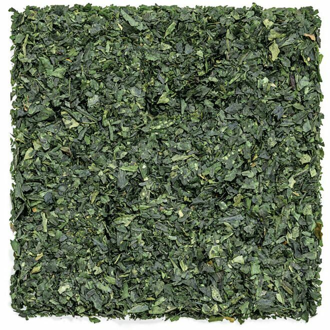 Tencha Mimoto Japonais