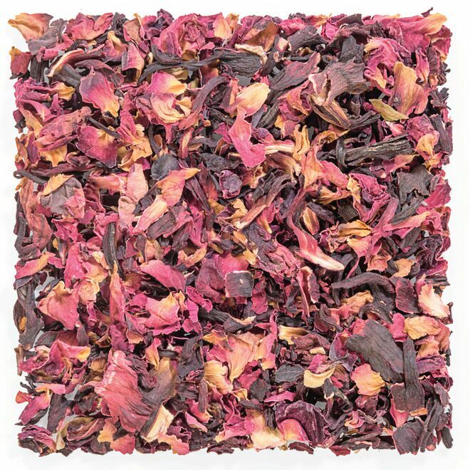 Luscious Hibiscus Rose